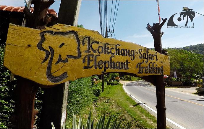 Сафари на Слонах КокЧанг (Пхукет, Карон) / KokChang Safari Elephant Trekking (Phuket, Karon)-17