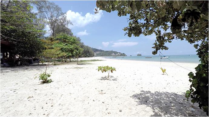 Самые опасные пляжи Пхукета: пляж Най Янг (Nai Yang Beach)