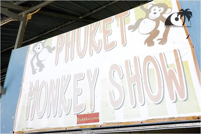 Шоу обезьян на Пхукете (Кату) / Monkey Show Kathu, Phuket-1