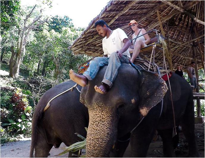 Сафари на Слонах КокЧанг (Пхукет, Карон) / KokChang Safari Elephant Trekking (Phuket, Karon)-1