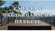 Обезьяны на Пхукете — ТОП-4 места с фото, видео и маршрутами