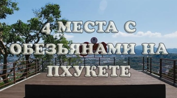Обезьяны на Пхукете — ТОП-4 места с фото, видео и маршрутами