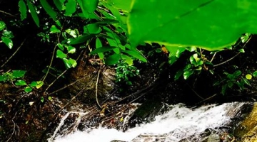 Водопад Тон Ао Йон (Пхукет) - из кино: фото и описание, видео