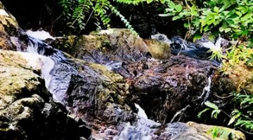 Водопад Банг Ван (Пхукет): дикий, красивый: фото и описание 