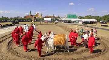 Праздник первой борозды в Таиланде: описание праздника
