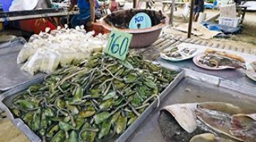 Морепродукты на Пхукете: рынки, цены, рестораны, отзывы