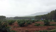 Погода на Пхукете (Таиланд) в августе: описание, фото, отзыв
